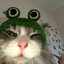 Helo
