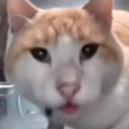 GOP근무서는서울청년