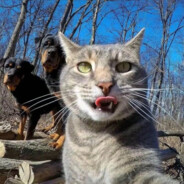 你奶奶裤衩有朵花