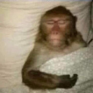 Leben in Deutschland