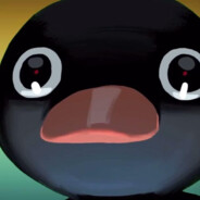 Noot Noot