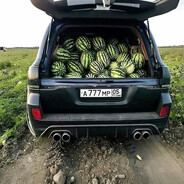 мухджон