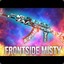 Frontside Misty