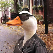 宇宙无敌究极暴龙战士