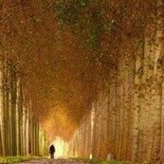 素白衣衫君陌璃