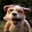 @Dikey@