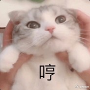 straight noodle sky life