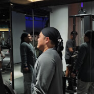 企鹅乘小车 一盒食乎