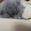 戒不掉的烟