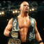 “冷石”  Steve Austin