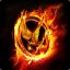Mr.Fire