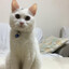 MuzuR-