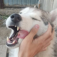 Riaz - steam id 76561198993204996