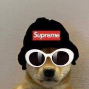 doggo