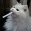 кэпчик :)'s avatar