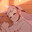 REFORMED ⑨'s Avatar