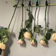 我想读书（ustc）