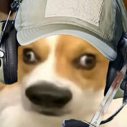 跑刀蜂医不会梦见老太