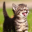 SURI