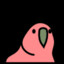 XDRANdy