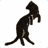 Sturmpionier-Bataillon 336