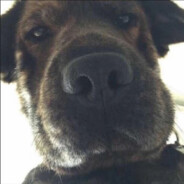 六边形战士修勾