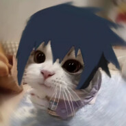 聪明绝顶巴迪森色