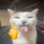 Kerem