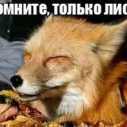 Лисий хвост