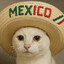 El Gato