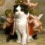 Kissa Kissanen &quot;Pentu&quot;