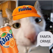 falafel - steam id 76561199447853072