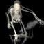 esqueleto_capoeira(2).gif
