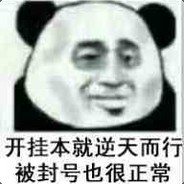 皮某人