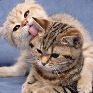 只想静静的躺着赢