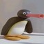 NOOT NOOT