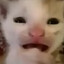 Powpy