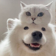 格聂神山下的珍珠