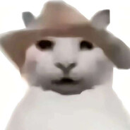 不吃牛肉（天生爱猫版）