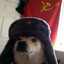 AlpahDoge's avatar