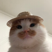 我是校园网轻薄本