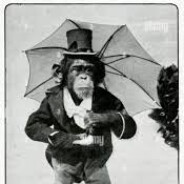 pimp chimpington the 3rd