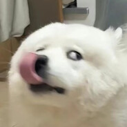 大观园突破手林黛玉