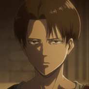 Levi