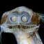 Abyssal