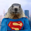Super Marmotte