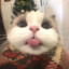 килька