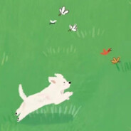 错的不是瓦塌西，是阔诺塞盖