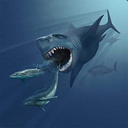 Mr.Megalodon