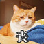 大毛球